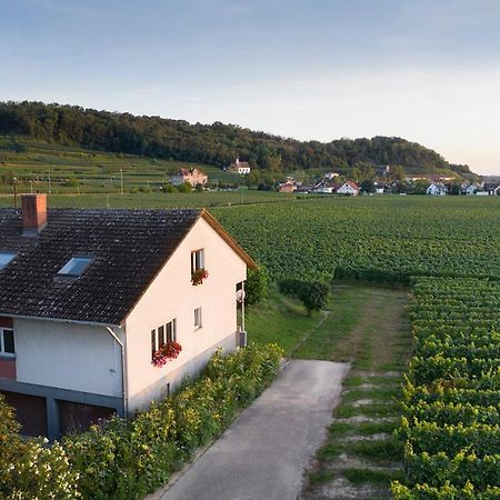 Ferienwohnung Mit 65Qm Niederrotweil المظهر الخارجي الصورة