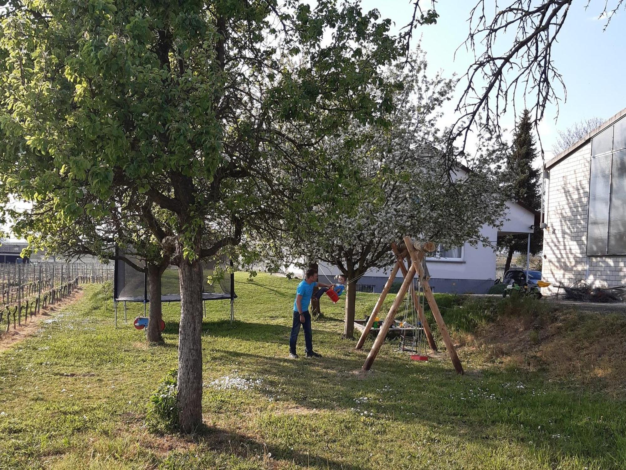 Ferienwohnung Mit 65Qm Niederrotweil المظهر الخارجي الصورة